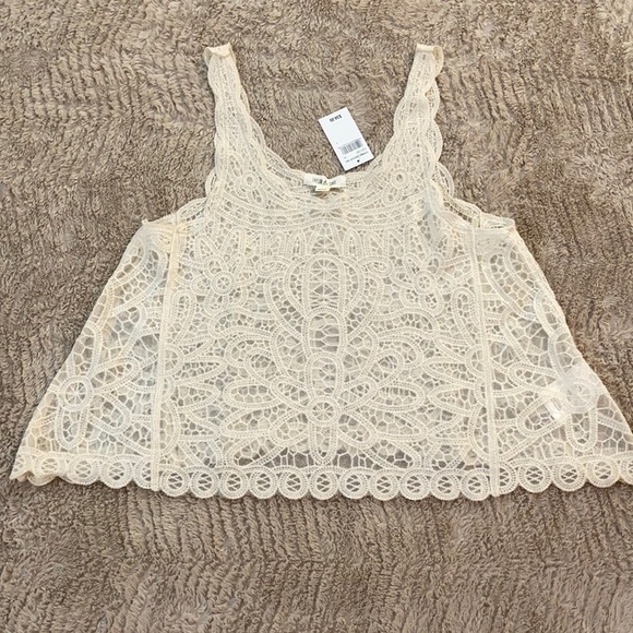 Taylor & Sage Tops - Taylor & Sage NWT lace & net crop tank top Sz L
